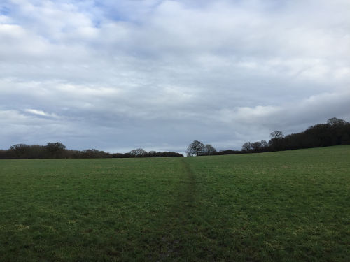 Fryent country park